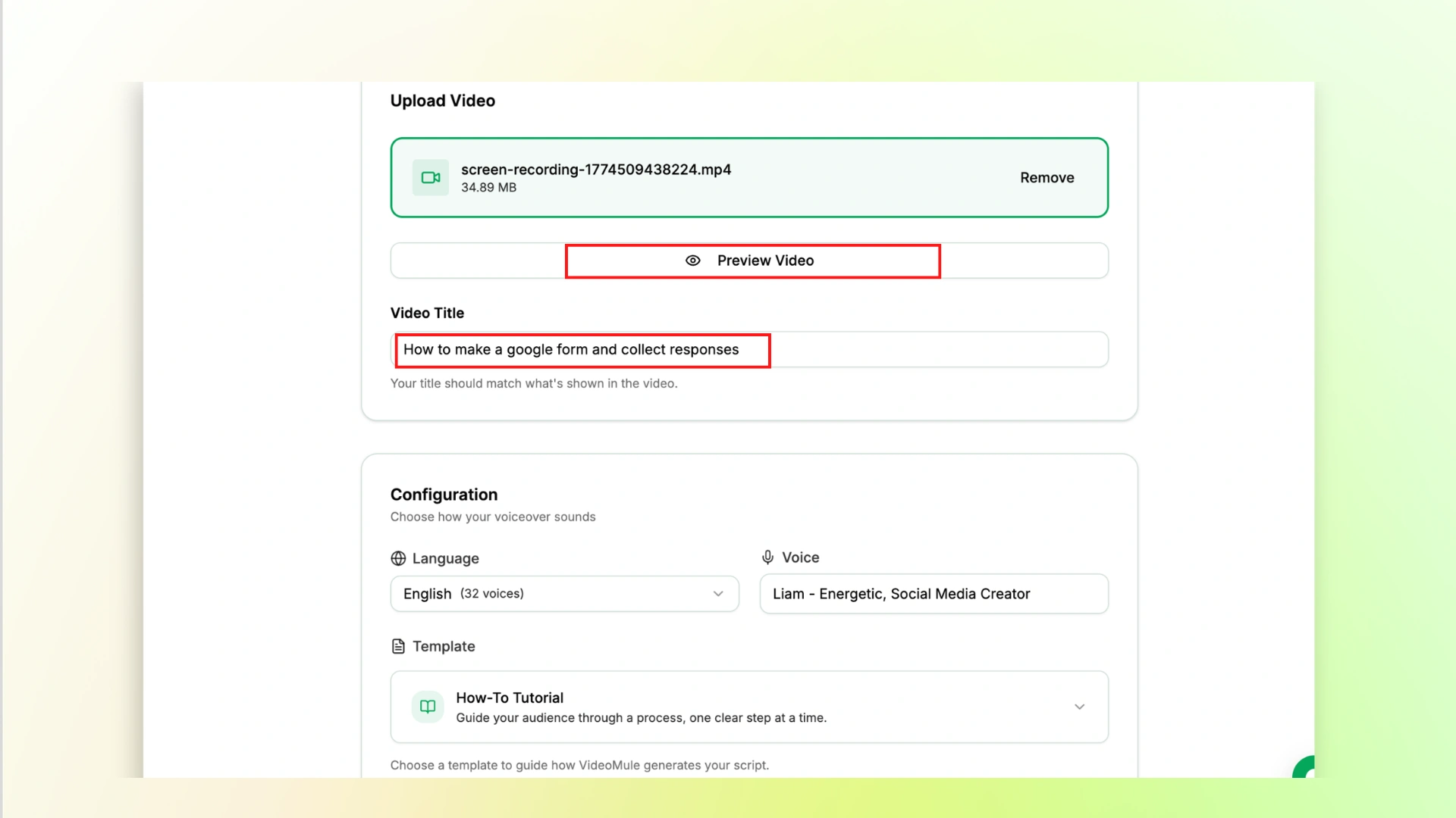 VideoMule video preview and title input