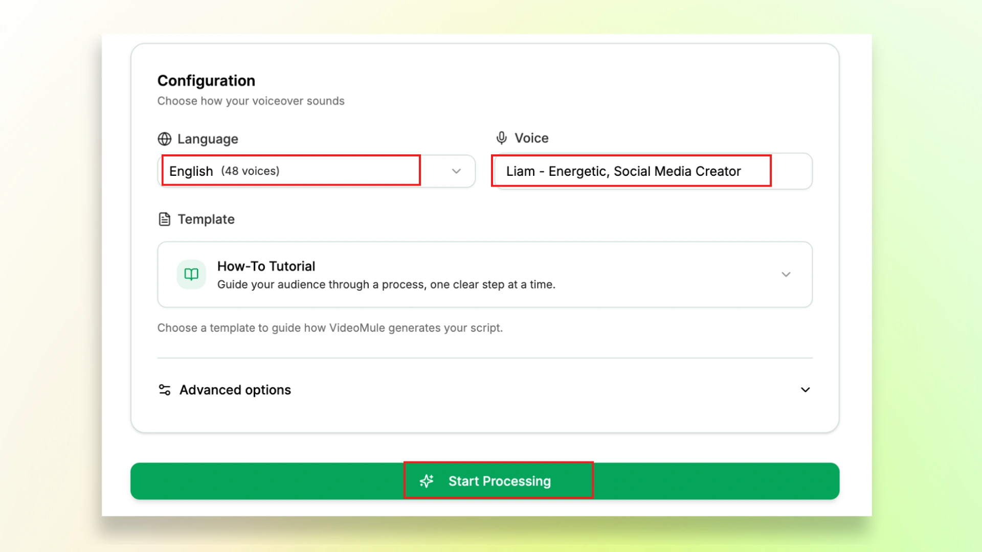 VideoMule language and voice selection with Start Processing button